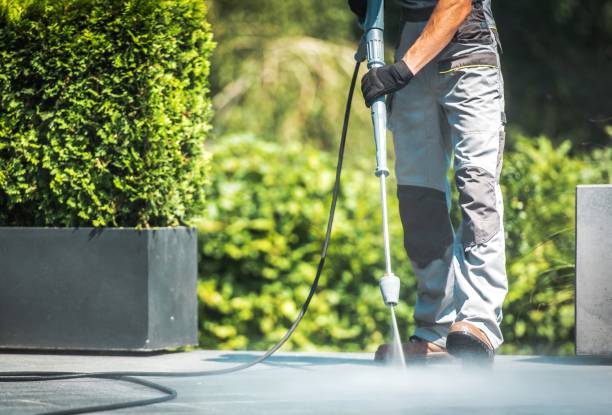 Best Driveway Pressure Washing  in Dequincy, LA
